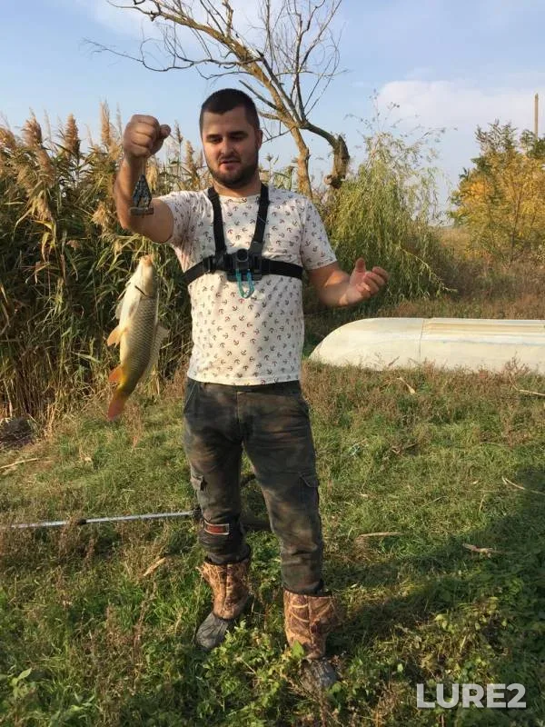 Карп — Миколаївська область, 22 окт. 2018 г.