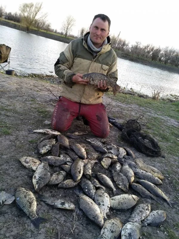 Карась