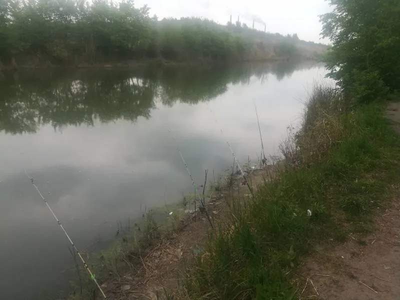 Карась