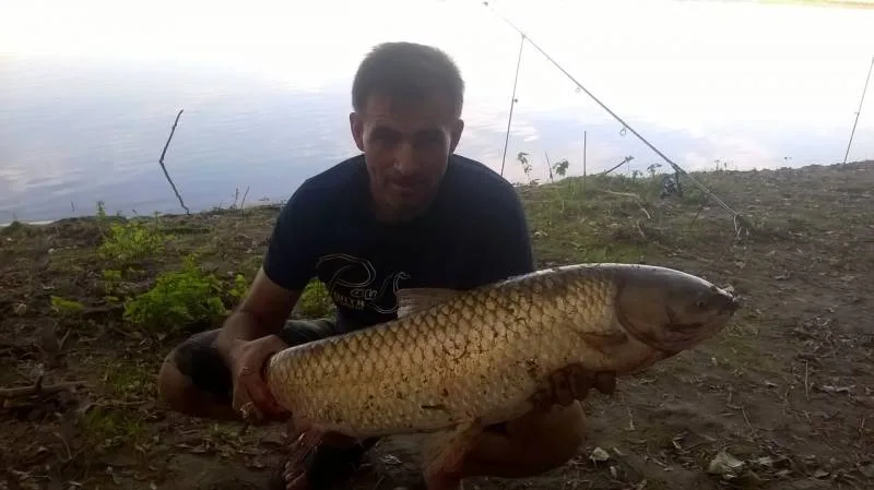 Карась
