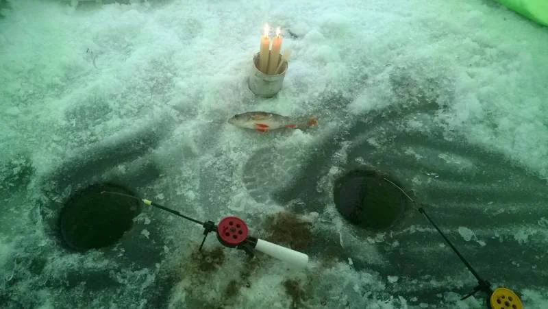 Окунь