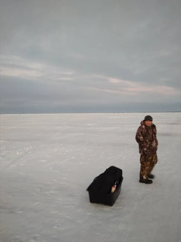 Карась