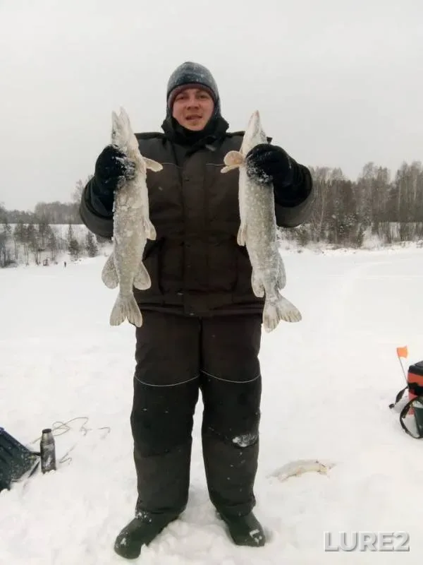 Щука — Свердловская область, Ачитский городской округ, 07 янв. 2019 г.