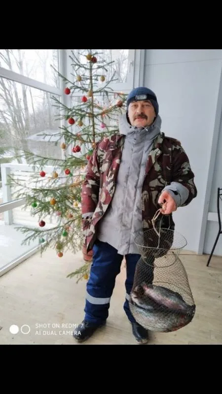 Форель радужная