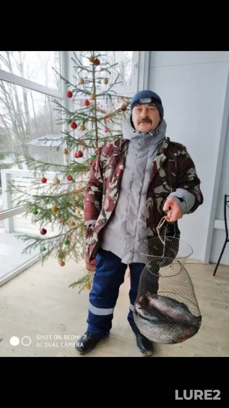 Форель