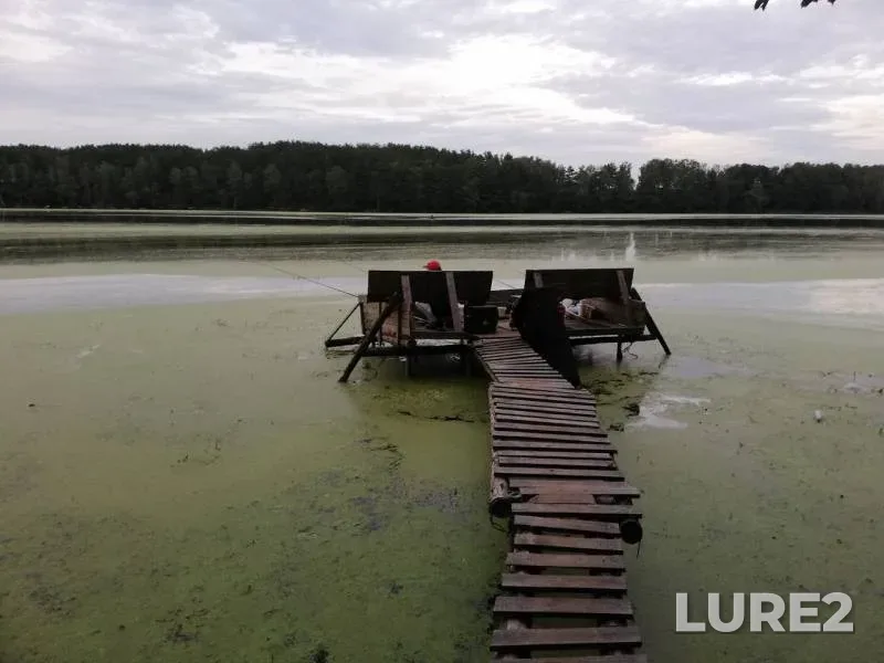 Лещ — Свислочь, 12 авг. 2019 г.