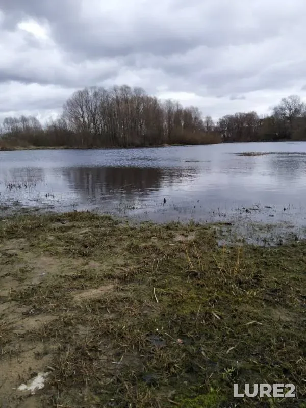 Окунь — Березина, 19 мар. 2020 г.