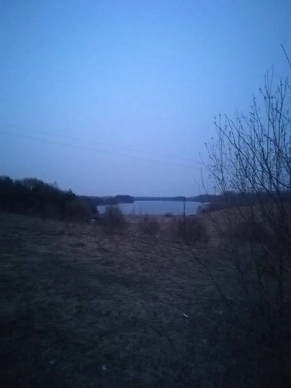 Уклейка