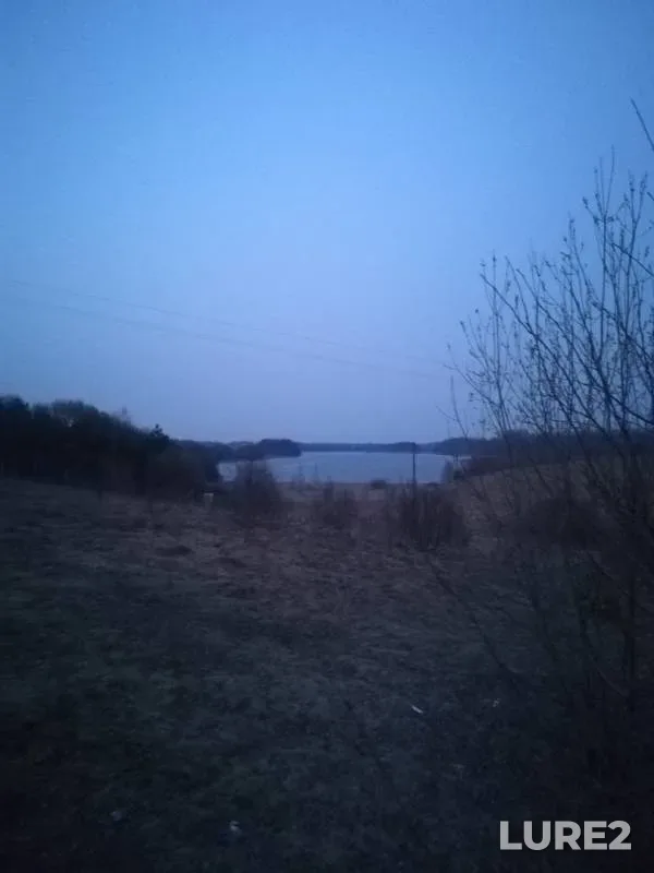 Уклейка
