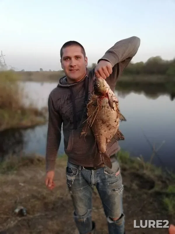 Лещ — Западная Двина, 30 апр. 2019 г.