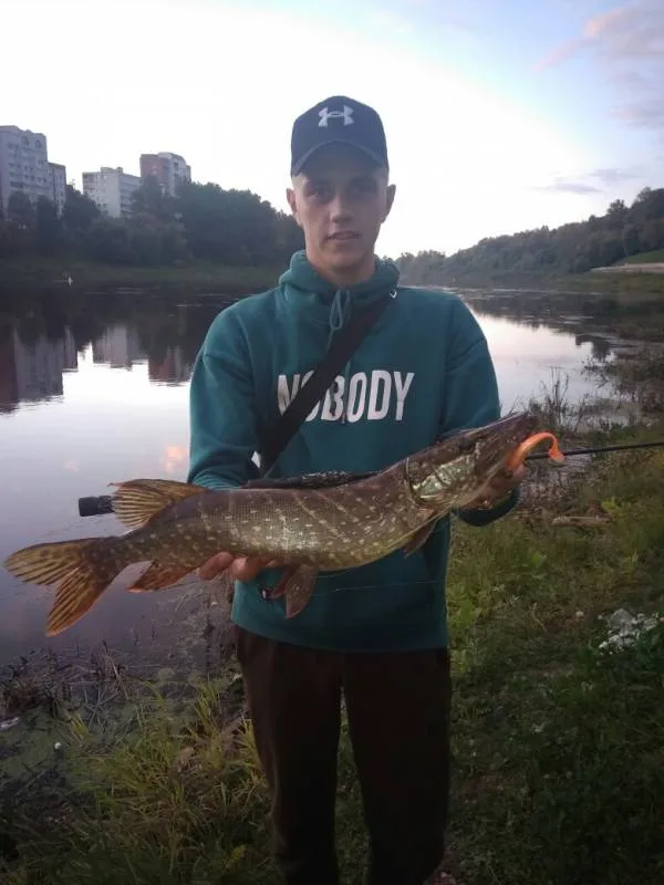 Щука