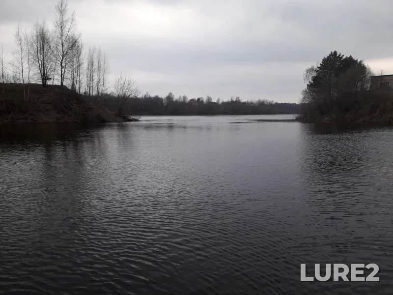Окунь
