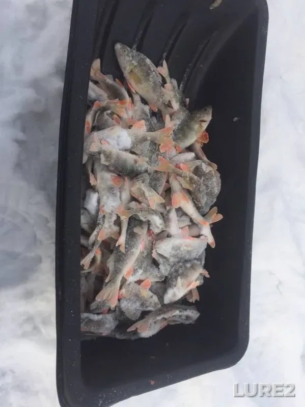 Окунь — Бобровное, 15 дек. 2019 г.