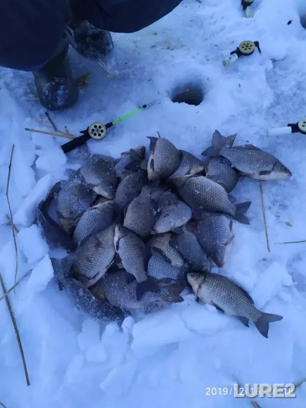 Карась — Вьялково, 16 дек. 2019 г.