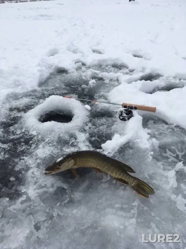 Щука — Липовое, 25 дек. 2019 г.