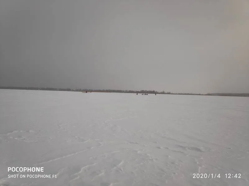 Окунь