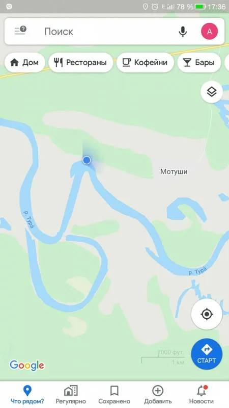 Окунь