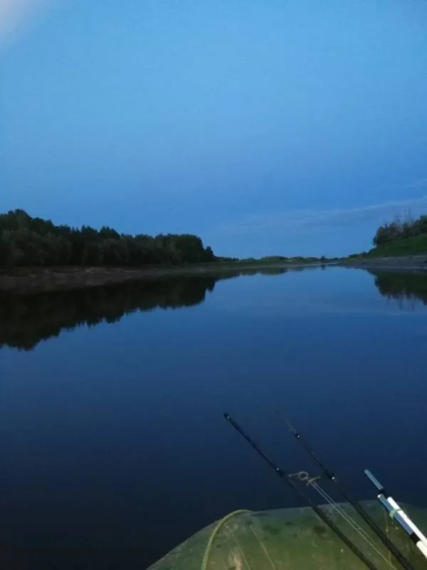 Карась