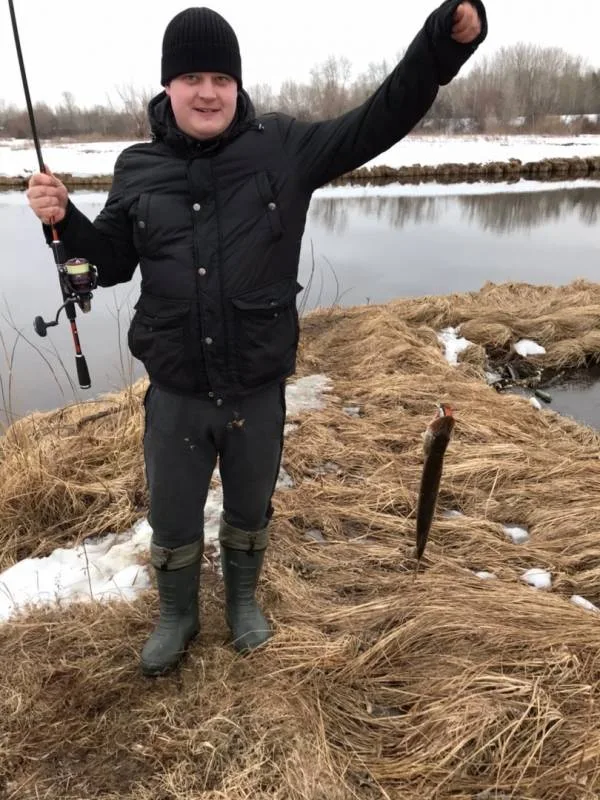 Щука