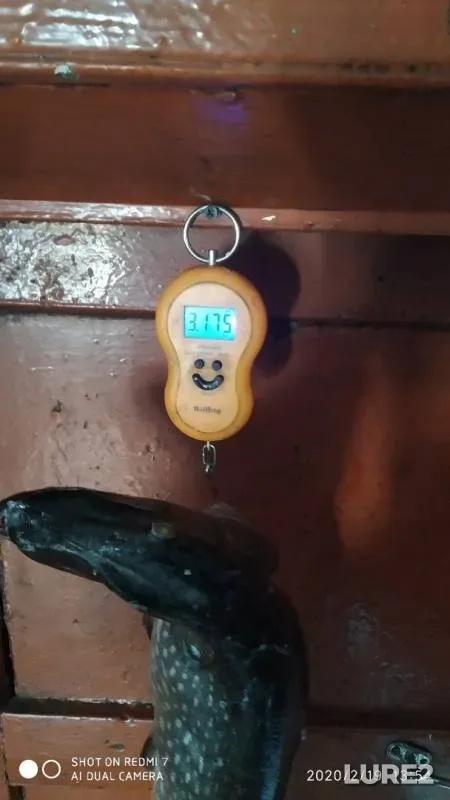 Щука — Шакшинское, 19 февр. 2020 г.