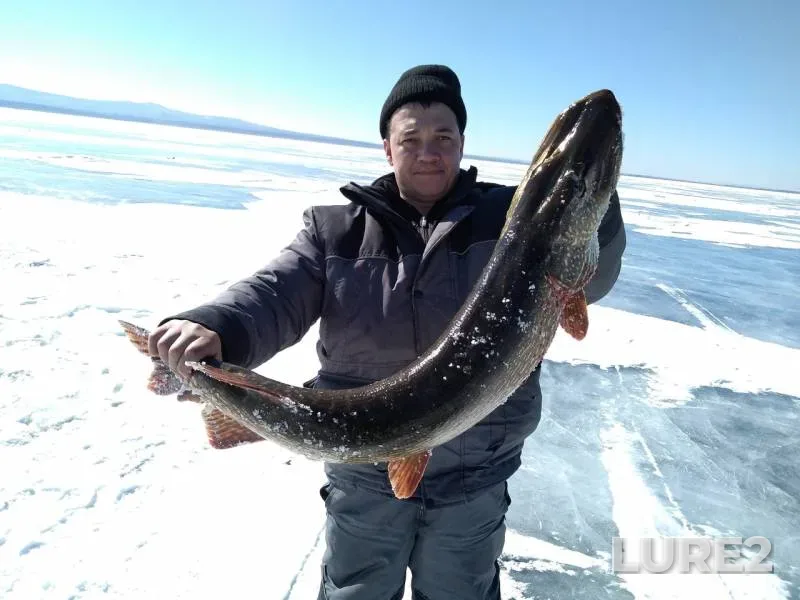 Щука — Арахлей, 23 мар. 2020 г.