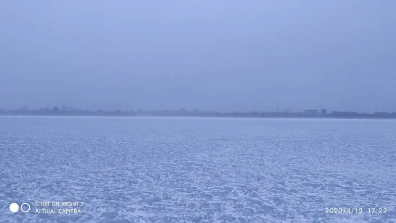 Окунь, Щука