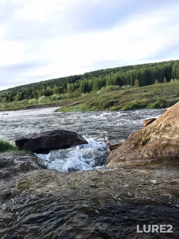 Окунь, Щука — Инвалидка, 13 июн. 2019 г.
