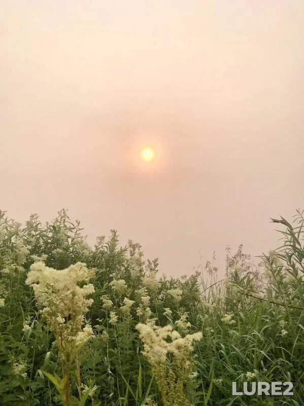 Щука — Енисей, 16 июл. 2019 г.