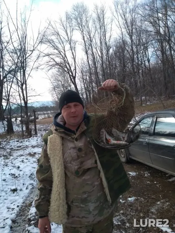 Окунь — Старый Мокрец, 07 нояб. 2019 г.