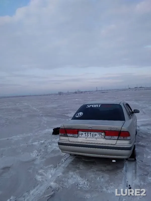 Щука