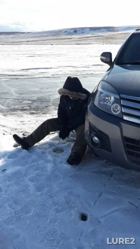 Окунь