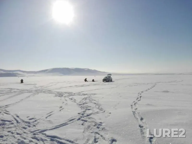 Окунь — Красноярское, 01 мар. 2020 г.