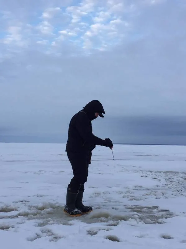 Окунь