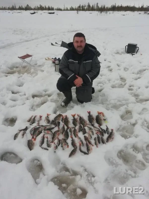 Окунь — Ватинский Ёган, 14 мар. 2020 г.