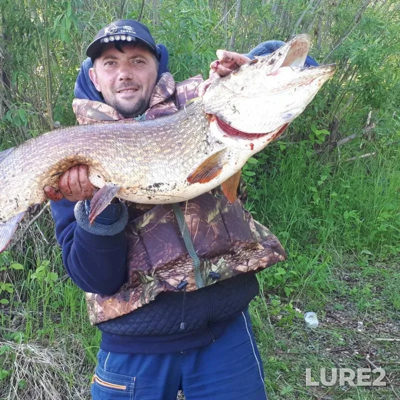 Щука — Красноярский край, 13 февр. 2020 г.