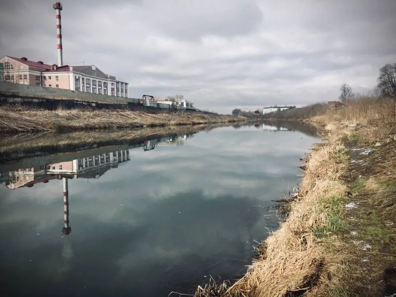 Уклейка, Окунь