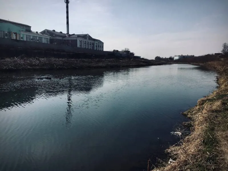Карась, Окунь