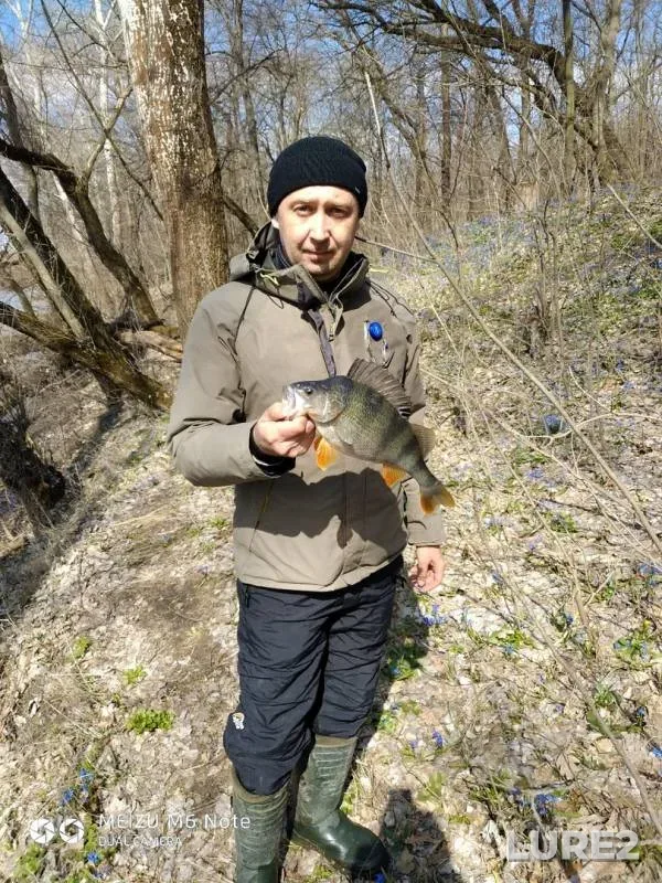 Окунь — Северский Донец, 30 мар. 2019 г.