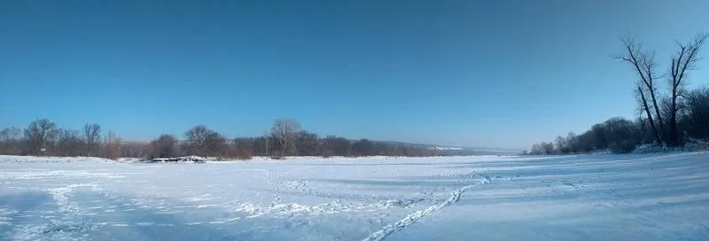 Окунь