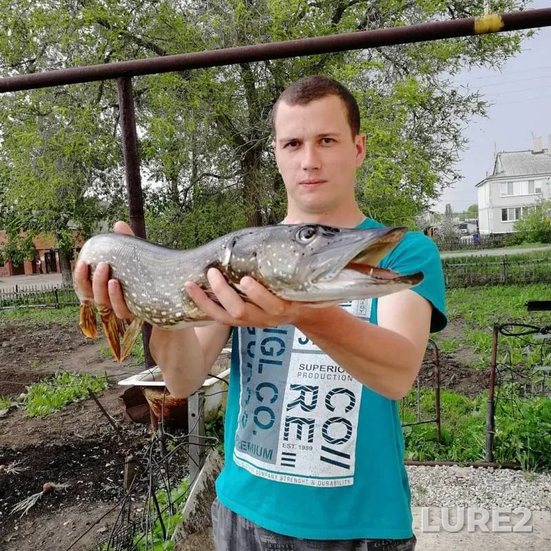 Щука — Саратовское, 12 мая 2019 г.