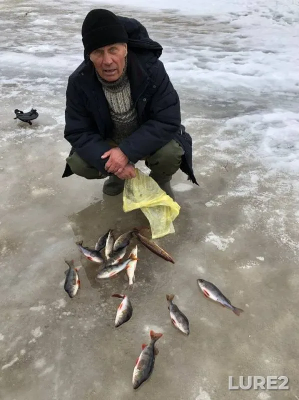 Окунь, Щука — Тывъега, 02 мая 2019 г.