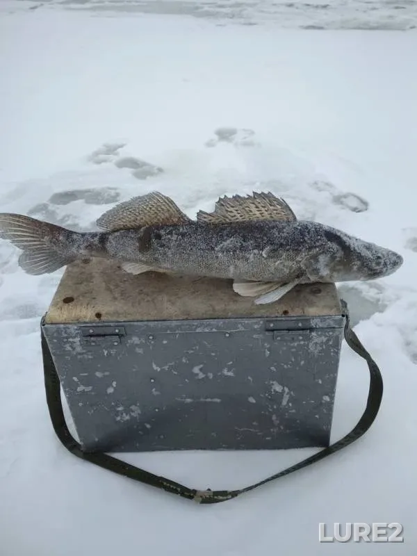 Судак — Чебоксарское, 05 дек. 2018 г.