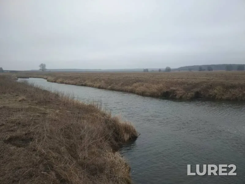 Голавль, Окунь — Быстрая, 22 февр. 2020 г.