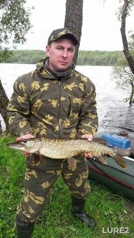 Щука