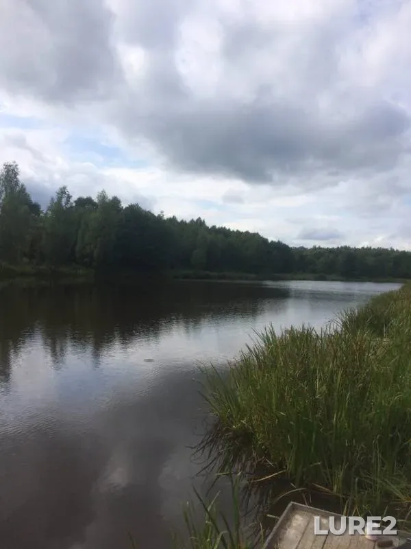 Карп — Ревза, 29 авг. 2020 г.