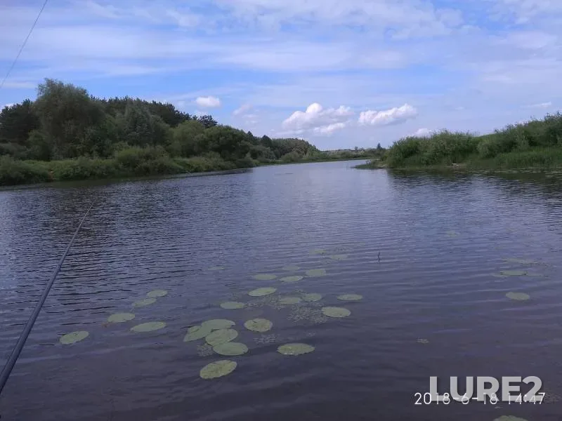 Щука, Плотва — Днепр, 18 июн. 2018 г.