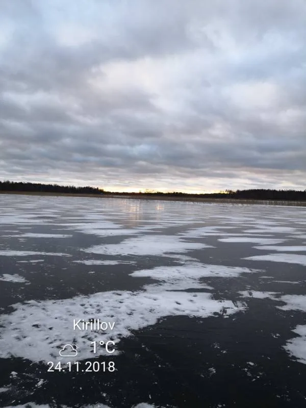 Окунь, Щука
