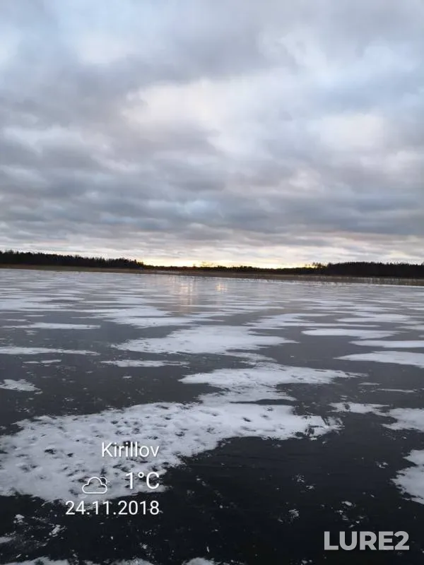 Окунь, Щука