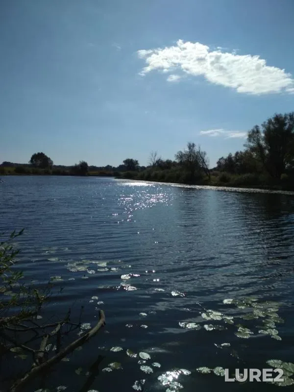 Окунь, Щука — Новый Старик, 22 сент. 2018 г.