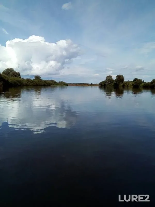 Лещ — Днепр, 11 июл. 2019 г.